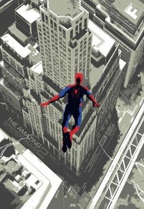 The Amazing Spiderman 2 Poster | eBay