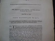 18th C Lot of 4 Linneans Algae Fucus Fuci Botany Grass Paspalum Plates 1792 
