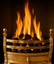 SOLID SHINY BRASS Daisy 16" Fire Fret For Either Gas Or Electric Fires New Boxed