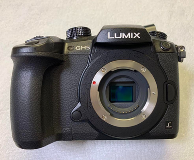 Panasonic Lumix DC-GH5 RD-SPM049 Mirrorless Camera from JP
