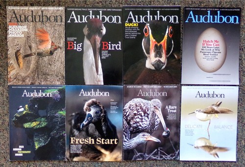 VOGEL MAGAZIN LOT (35x) 2010-2024 Audubon, Birds & Blooms, Living Bird (Cornell) - Bild 3 von 7