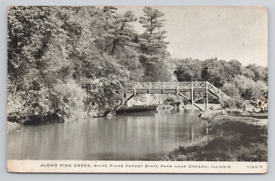 Pine Creek White Pines Forest State Park Near Oregon Illinois 1938 Postcard
