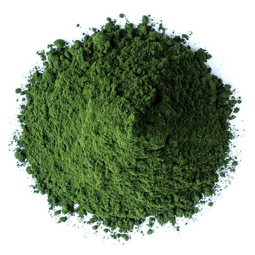 Food to Live Chlorella Powder, Powdered Algae - Picture 9 of 34
