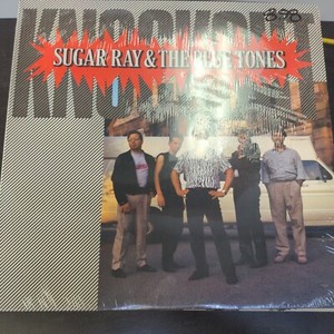 Sugar Ray Vinyl | eBay