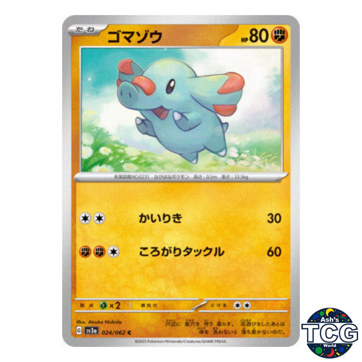 Phanpy C 024/062 SV3a Raging Surf Pokemon Card Japanese