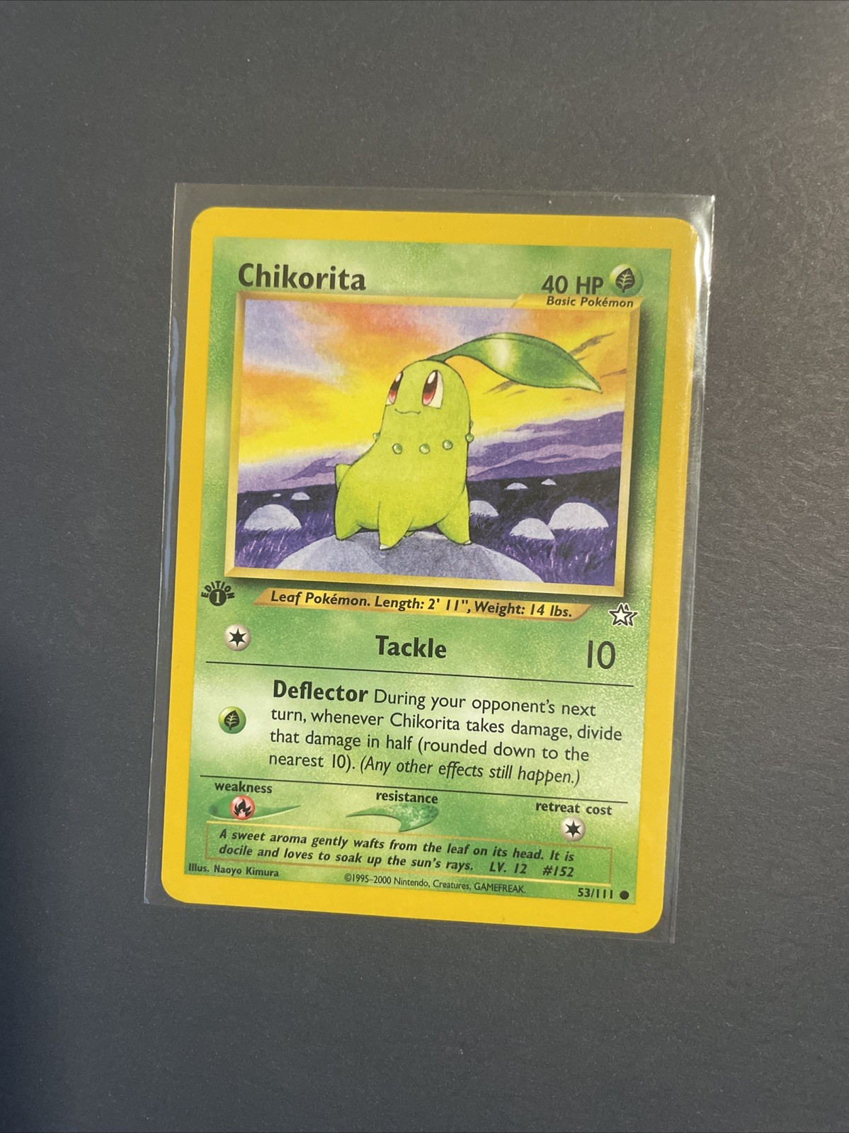 Chikorita 53/111 1st Edition Neo Genesis Common Pokemon TCG 2000 NM
