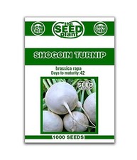 Shogoin Turnip Seeds - 1,000 Seeds Non-GMO Full Sun Moderate Watering Outdoor