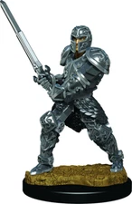 Male Human Fighter Premium D&D Miniature Dungeons Dragons paladin warrior W3 Z