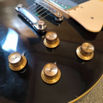 Aria Pro II LS-450 Les Paul Standad Electric Guitar W/Gig Bag Made