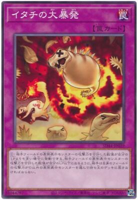 feerieさま SD44-JP039 - Yugioh - Japanese - Ferret Flames - Common | eBay