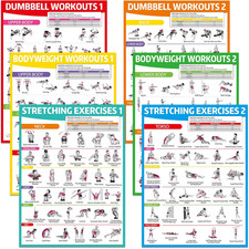 6PCS Workout Posters for Home Gym Dumbbell Bodyweight Stretching Workout Exercis