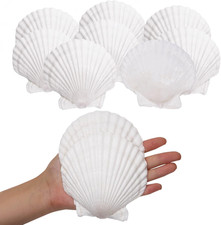 Giftvest 10PCS Sea Shells White Scallop Shells for Crafts Baking Cooking Serving