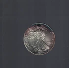 1993 American Silver Eagle 1 Troy Oz. .999 Fine One Dollar Coin