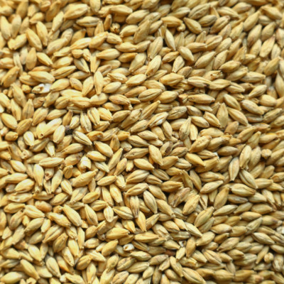 1kg  2,5kg oder 5kg Pale Ale Malz geschrotet oder ungeschrotet Malz Bierbrauen