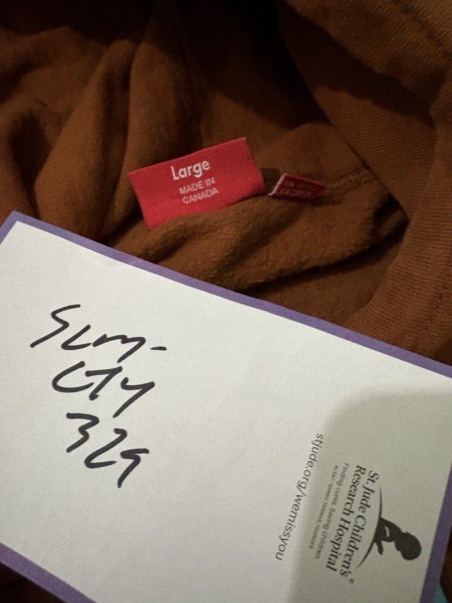 Used Supreme FW17 Rust Brown/ Teal Aqua Blue Box Logo Hoodie