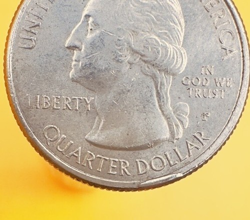 Cud-2018 P Cumberland Island Quarter error nice size cud on a ATB series - Picture 7 of 15