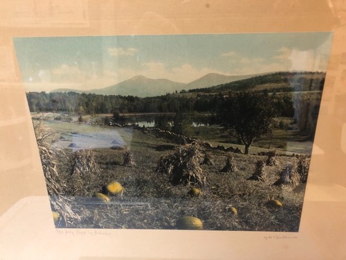 Antique Large Hand Colored Photo J C Bicknell Maine Mountains Landscape Pumpkins - Picture 2 of 9
