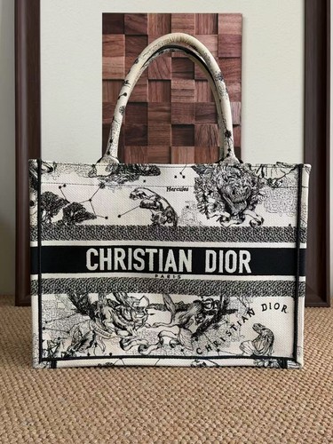 Christian Dior Small Book Tote Zodiac Print Canvas Daily Tote Bag