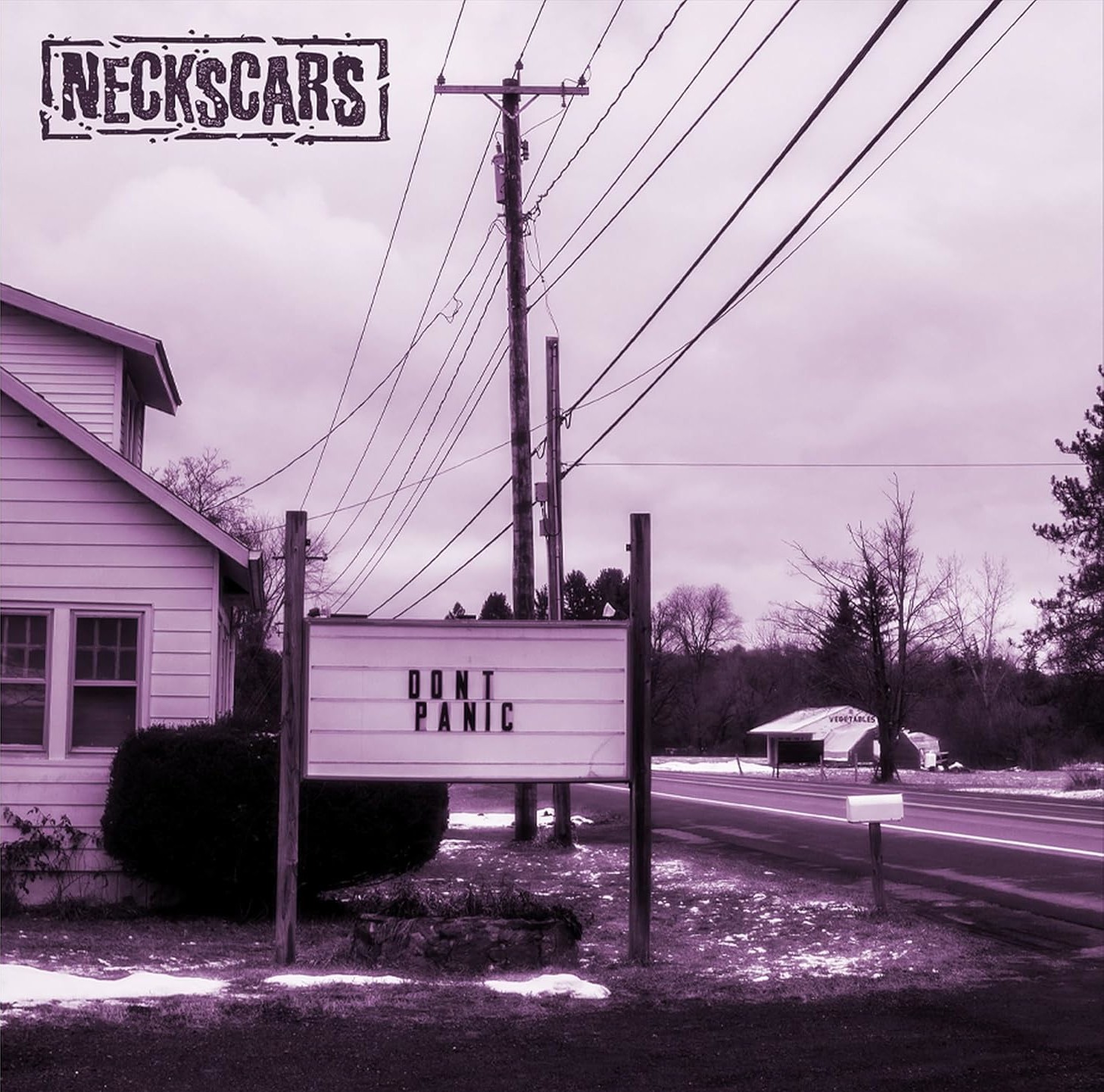 Neckscars Don't Panic (Vinyl LP) 12" Album