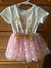 1st Birthday Tutu Princess Dress - Size 12-18 Months