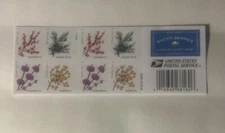 scott us booklet stamps 5418b Winter Berries (R11/23)