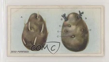 1923 ITC of Canada Gardening Hints Tobacco Seed Potatoes #45 z6d