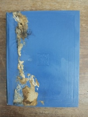 DIE NOBELPREISE FÜR LITERATUR XLIII A. GIDE 1967 FRATELLI FABBRI