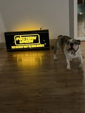  on The Hot Collector