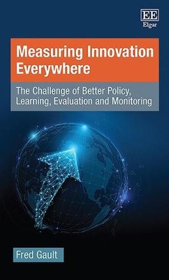 Measuring Innovation Everywhere   The Challenge of Better Policy, Learning, Eva 