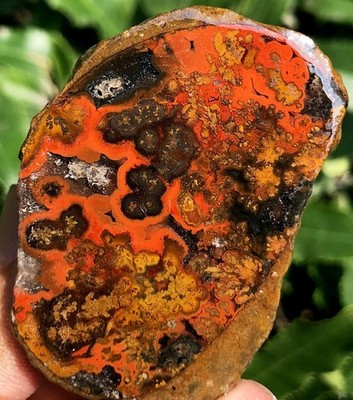 92.1g Boutique Natural Chicken Oil Yellowish Silk Zhanguo Red Agate Geod ie0829
