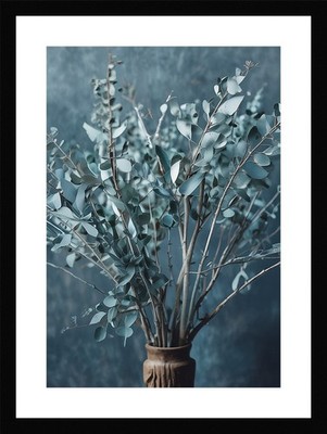 Epic Eucalyptus Branches Framed Wall Art Poster Canvas Print Picture