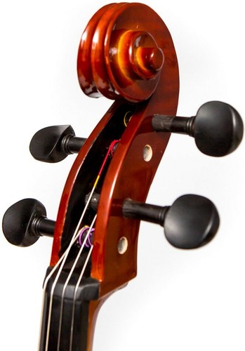 IE Cello 4/4 M-tunes No.200 wood - Luthier workshop - Picture 12 of 12