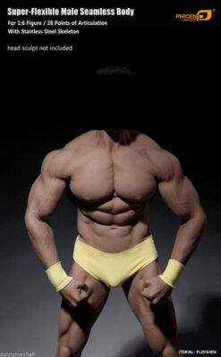1/6 TBLeague Phicen PL2016-M34 Male SS Strong Muscular Body