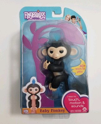 black fingerling monkey