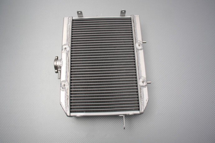 Radiateur de rechange fiable pour réparer le refroidissement du Honda TRX 650 Fourtrax