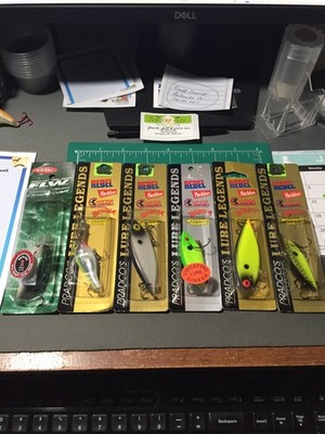LOT OF 6 CRANKBAITS BY REBEL, COTTON CORDELL & STRIKE KING NIPS