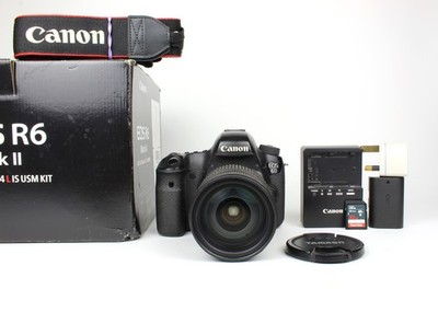 Canon EOS 6D 20.2MP DSLR Camera with Tamron 28-75mm f/2.8 Lens, 228094 Shutter