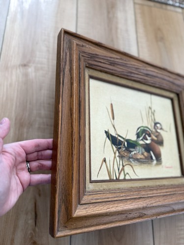 Vintage C Carson Enten Teich Öl auf Leinwand Gemälde signiert Holzrahmen zertifiziert - Bild 4 von 11