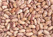 LOT of 4: canned beans various 15oz each, see description