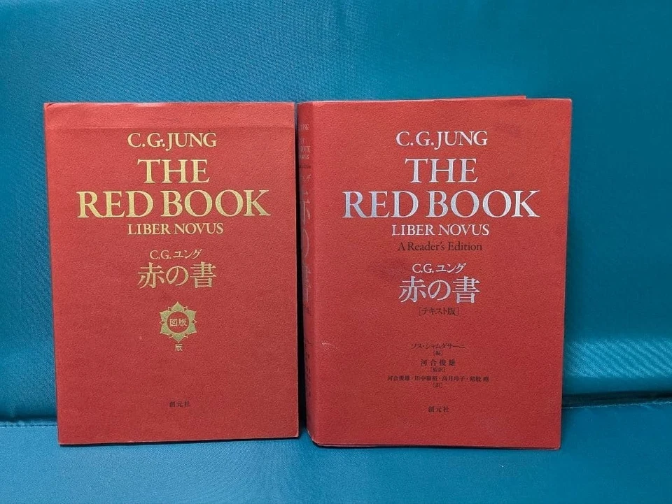 CG Jung Red Book Text Edition Illustrated Edition Sogensha Japanese 2 Book Set - Image 1 of 4