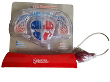 Learning Resources LER3535 Human Heart   77 