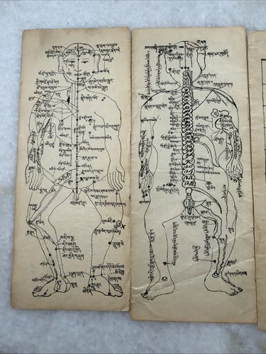 ALTE MONGOLISCHE TIBETISCHE BUDDHISTISCHE HANDGEZEICHNETE ANATOMIE DRUCKE 5 Stück - Bild 2 von 5