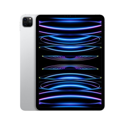Apple iPad Pro 11-inch (4th generation) A2759 256 GB, Wi-Fi