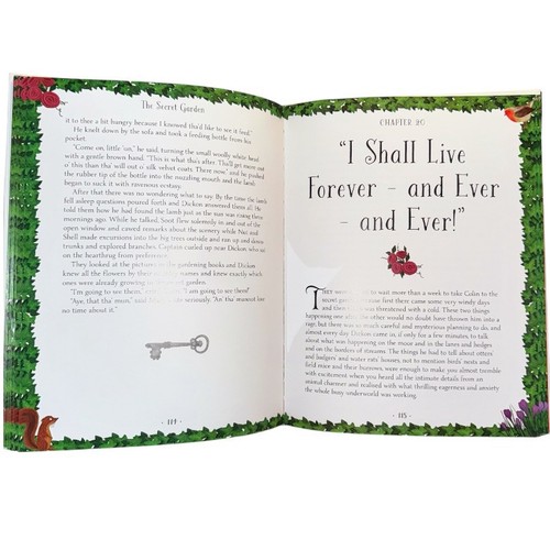 THE SECRET GARDEN Illustrated Classics by Frances Hodgson Burnett 2018 Hardcover - Picture 3 of 9