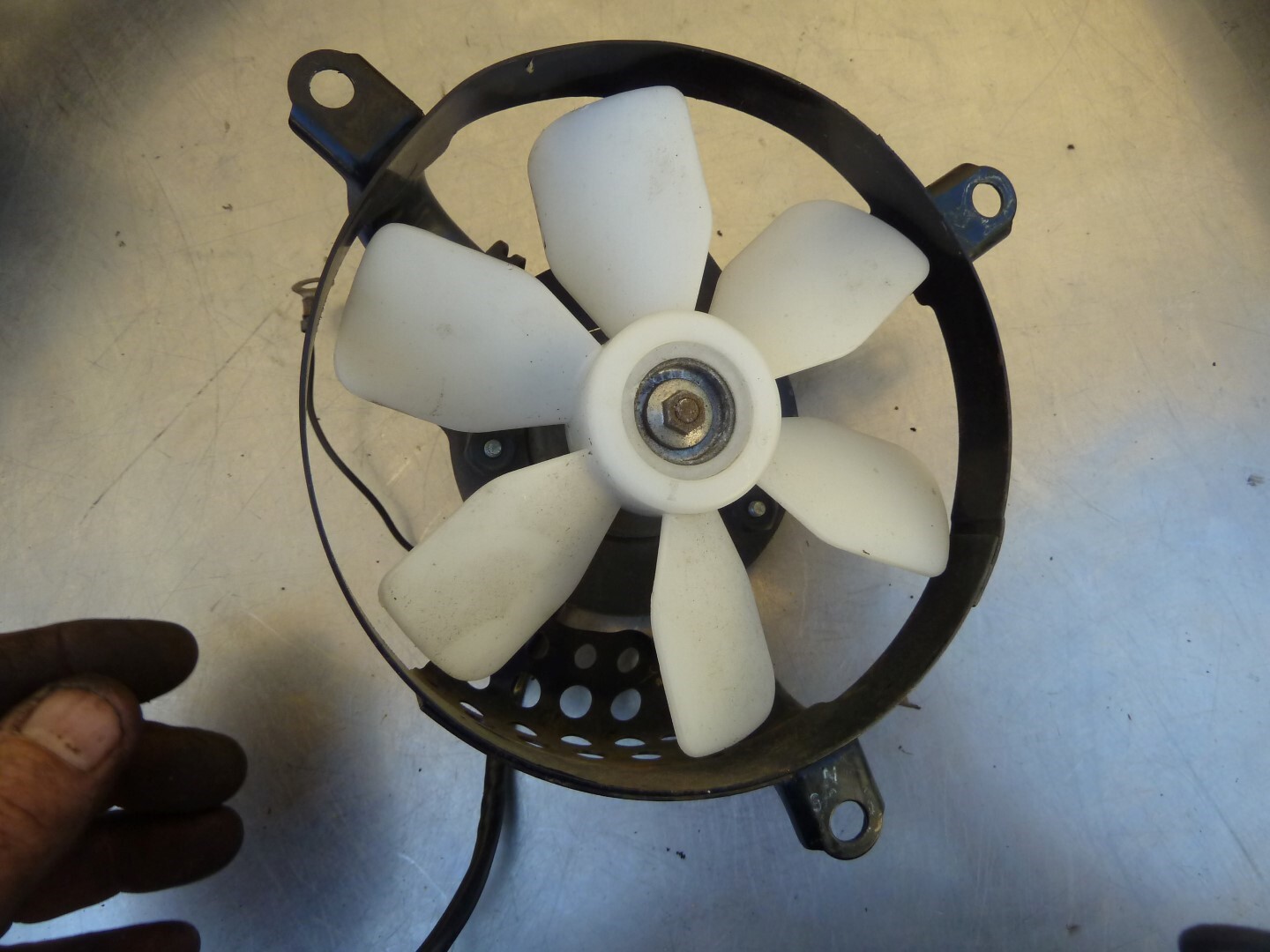 Radiator fan KLR650 8707 KLR 650 1st gen Kawasaki L2 eBay
