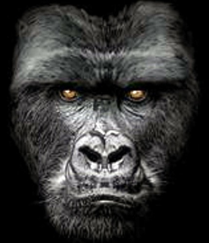 Mens Big and Tall Majestic Gorilla Tee Shirt Pro Club T Shirt Sizes 2XL to 10XL