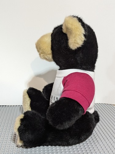 Build A Bear Integris Health Exclusive w Matching Shirt 2010 Hospital 10" BAB - Picture 3 of 10