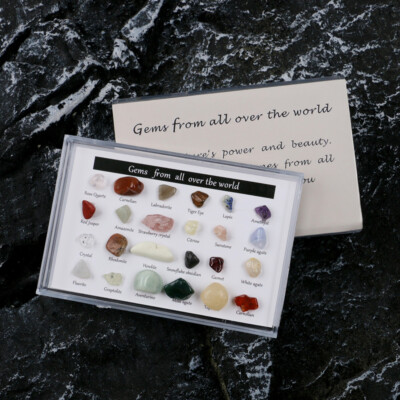 24X Rock Quartz Mineral Collection Display Case Science Teaching Geography Stone