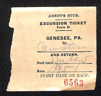 New York & Pennsylvania Ry 1917 Genesee, PA, Excursion Ticket Stub #6563