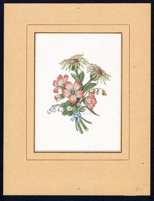 Marianne Mielenhausen / Offenbach Original Radierung Blumen flowers Merian